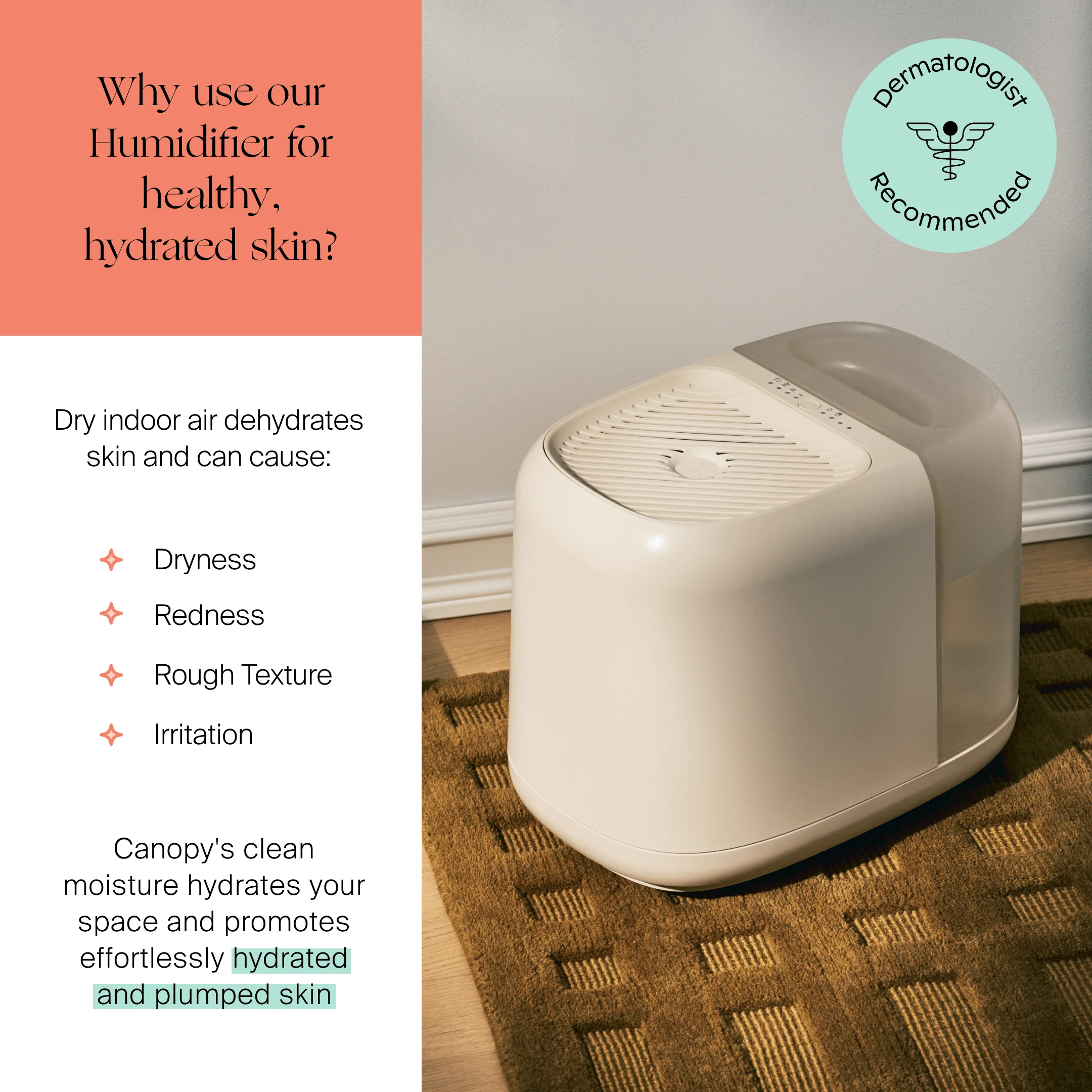 Large Room Humidifier - Image 12