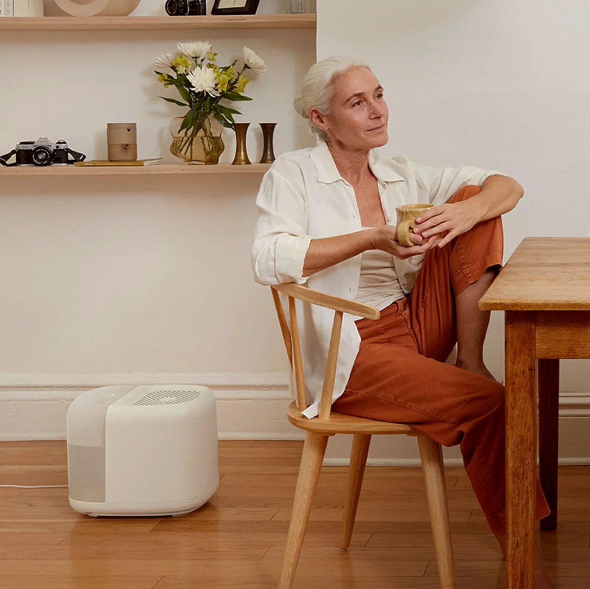 Large Room Humidifier - Image 17