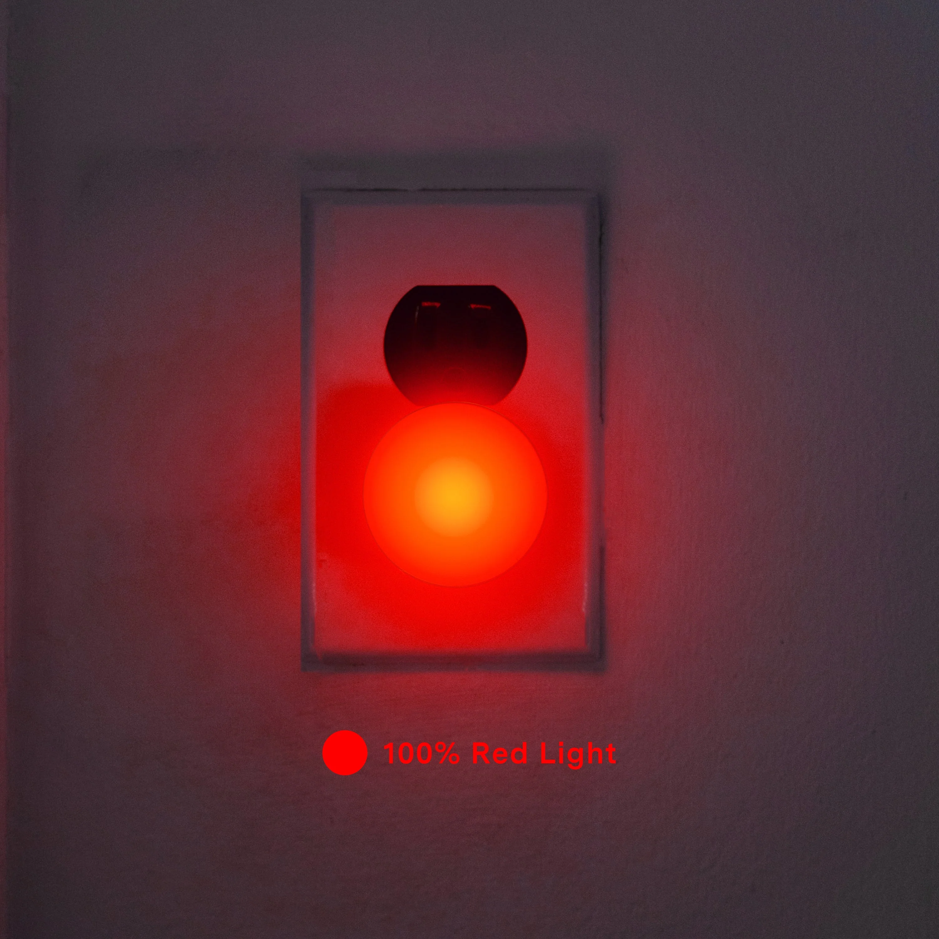 Night Lights - Image 8