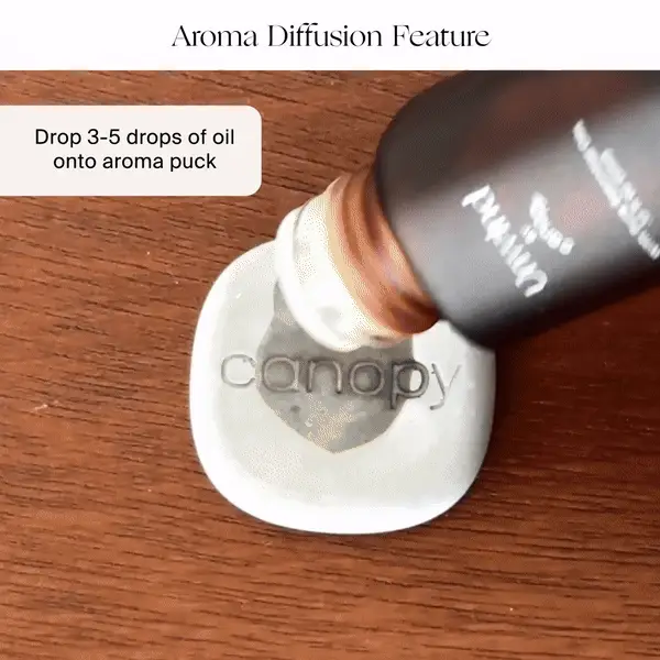 Portable Humidifier - Image 12